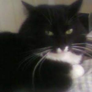 Meet your Posher, Ady